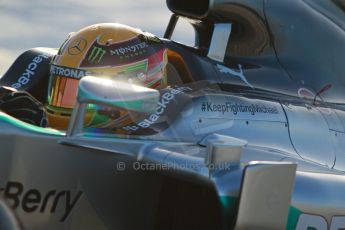 World © Octane Photographic Ltd. 2014 Formula 1 Winter Testing, Circuito de Velocidad, Jerez. Tuesday 28th January 2014. Day 1. Mercedes AMG Petronas F1 W05 – Lewis Hamilton. Digital Ref: 0882cb1d9354