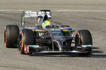 World © Octane Photographic Ltd. 2014 Formula 1 Winter Testing, Circuito de Velocidad, Jerez. Tuesday 28th January 2014. Day 1. Sauber C33 - Esteban Gutierrez. Digital Ref: 0882cb1d9475