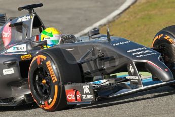 World © Octane Photographic Ltd. 2014 Formula 1 Winter Testing, Circuito de Velocidad, Jerez. Tuesday 28th January 2014. Day 1. Sauber C33 - Esteban Gutierrez. Digital Ref: 0882cb1d9476