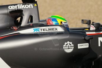 World © Octane Photographic Ltd. 2014 Formula 1 Winter Testing, Circuito de Velocidad, Jerez. Tuesday 28th January 2014. Day 1. Sauber C33 - Esteban Gutierrez. Digital Ref: 0882cb1d9480