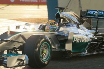 World © Octane Photographic Ltd. 2014 Formula 1 Winter Testing, Circuito de Velocidad, Jerez. Tuesday 28th January 2014. Day 1. Mercedes AMG Petronas F1 W05 – Lewis Hamilton. Digital Ref: 0882lb1d0062