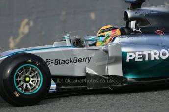 World © Octane Photographic Ltd. 2014 Formula 1 Winter Testing, Circuito de Velocidad, Jerez. Tuesday 28th January 2014. Day 1. Mercedes AMG Petronas F1 W05 – Lewis Hamilton. Digital Ref: 0882lb1d0134