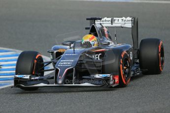 World © Octane Photographic Ltd. 2014 Formula 1 Winter Testing, Circuito de Velocidad, Jerez. Tuesday 28th January 2014. Day 1. Sauber C33 - Esteban Gutierrez. Digital Ref: 0882lb1d0158