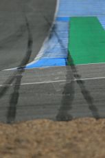 World © Octane Photographic Ltd. 2014 Formula 1 Winter Testing, Circuito de Velocidad, Jerez. Tuesday 28th January 2014. Day 1. Mercedes AMG Petronas F1 W05 – Lewis Hamilton skid marks from earlier crash. Digital Ref: 0882lb1d0374