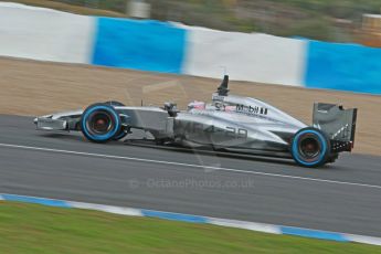World © Octane Photographic Ltd. 2014 Formula 1 Winter Testing, Circuito de Velocidad, Jerez. Wednesday 29th January 2014. Day 2. McLaren Mercedes MP4/29 - Jenson Button. Digital Ref: 0886cb1d0015