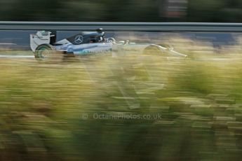 World © Octane Photographic Ltd. 2014 Formula 1 Winter Testing, Circuito de Velocidad, Jerez. Wednesday 29th January 2014. Day 2. Mercedes AMG Petronas F1 W05 - Nico Rosberg. Digital Ref: 0886cb1d0155