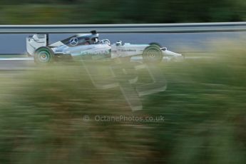 World © Octane Photographic Ltd. 2014 Formula 1 Winter Testing, Circuito de Velocidad, Jerez. Wednesday 29th January 2014. Day 2. Mercedes AMG Petronas F1 W05 - Nico Rosberg. Digital Ref: 0886cb1d0184