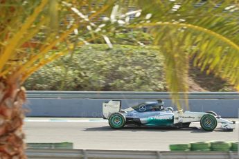 World © Octane Photographic Ltd. 2014 Formula 1 Winter Testing, Circuito de Velocidad, Jerez. Wednesday 29th January 2014. Day 2. Mercedes AMG Petronas F1 W05 - Nico Rosberg. Digital Ref: 0886cb1d0261