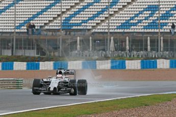 World © Octane Photographic Ltd. 2014 Formula 1 Winter Testing, Circuito de Velocidad, Jerez. Wednesday 29th January 2014. Day 2. McLaren Mercedes MP4/29 - Jenson Button. Digital Ref: 0886cb1d9780
