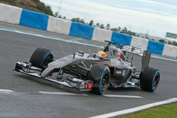 World © Octane Photographic Ltd. 2014 Formula 1 Winter Testing, Circuito de Velocidad, Jerez. Wednesday 29th January 2014. Day 2. Sauber C33 Ferrari - Esteban Gutierrez. Digital Ref: 0886cb1d9801