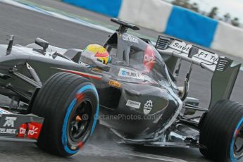 World © Octane Photographic Ltd. 2014 Formula 1 Winter Testing, Circuito de Velocidad, Jerez. Wednesday 29th January 2014. Day 2. Sauber C33 Ferrari - Esteban Gutierrez. Digital Ref: 0886cb1d9802