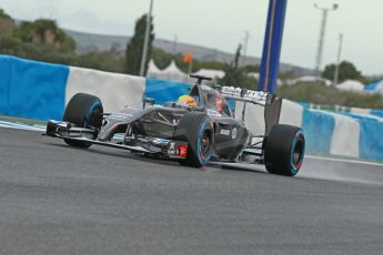 World © Octane Photographic Ltd. 2014 Formula 1 Winter Testing, Circuito de Velocidad, Jerez. Wednesday 29th January 2014. Day 2. Sauber C33 Ferrari - Esteban Gutierrez. Digital Ref: 0886cb1d9823