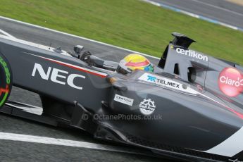 World © Octane Photographic Ltd. 2014 Formula 1 Winter Testing, Circuito de Velocidad, Jerez. Wednesday 29th January 2014. Day 2. Sauber C33 Ferrari - Esteban Gutierrez. Digital Ref: 0886cb1d9986