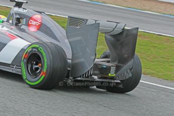 World © Octane Photographic Ltd. 2014 Formula 1 Winter Testing, Circuito de Velocidad, Jerez. Wednesday 29th January 2014. Day 2. Sauber C33 Ferrari - Esteban Gutierrez. Digital Ref: 0886cb1d9994