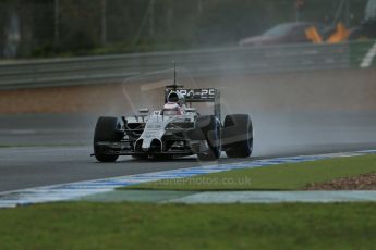 World © Octane Photographic Ltd. 2014 Formula 1 Winter Testing, Circuito de Velocidad, Jerez. Wednesday 29th January 2014. Day 2. McLaren Mercedes MP4/29 - Jenson Button. Digital Ref: 0886lb1d0554