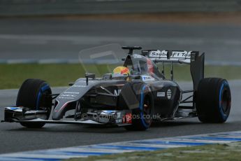 World © Octane Photographic Ltd. 2014 Formula 1 Winter Testing, Circuito de Velocidad, Jerez. Wednesday 29th January 2014. Day 2. Sauber C33 - Esteban Gutierrez. Digital Ref: 0886lb1d0709