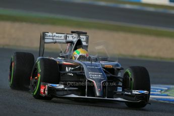 World © Octane Photographic Ltd. 2014 Formula 1 Winter Testing, Circuito de Velocidad, Jerez. Wednesday 29th January 2014. Day 2. Sauber C33 Ferrari - Esteban Gutierrez. Digital Ref: 0886lb1d0739