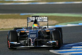 World © Octane Photographic Ltd. 2014 Formula 1 Winter Testing, Circuito de Velocidad, Jerez. Wednesday 29th January 2014. Day 2. Sauber C33 Ferrari - Esteban Gutierrez. Digital Ref: 0886lb1d0848