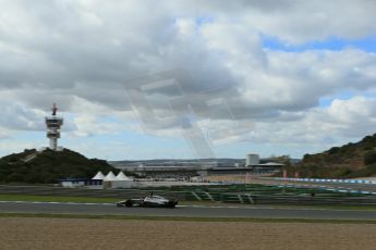 World © Octane Photographic Ltd. 2014 Formula 1 Winter Testing, Circuito de Velocidad, Jerez. Wednesday 29th January 2014. Day 2. McLaren Mercedes MP4/29 - Jenson Button. Digital Ref: 0886lb1d1346