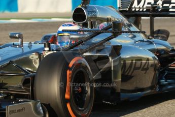 World © Octane Photographic Ltd. 2014 Formula 1 Winter Testing, Circuito de Velocidad, Jerez. Thursday 30th January 2014. Day 3. McLaren Mercedes MP4/29 - Jenson Button. Digital Ref: 0887cb1d0523