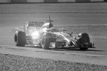 World © Octane Photographic Ltd. 2014 Formula 1 Winter Testing, Circuito de Velocidad, Jerez. Thursday 30th January 2014. Day 3. McLaren Mercedes MP4/29 - Jenson Button. Digital Ref: 0887cb1d0652