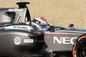 World © Octane Photographic Ltd. 2014 Formula 1 Winter Testing, Circuito de Velocidad, Jerez. Thursday 30th January 2014. Day 3. Sauber C33 Ferrari – Adrian Sutil. Digital Ref: 0887cb1d0725