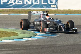 World © Octane Photographic Ltd. 2014 Formula 1 Winter Testing, Circuito de Velocidad, Jerez. Thursday 30th January 2014. Day 3. Sauber C33 Ferrari – Adrian Sutil. Digital Ref: 0887cb1d0749