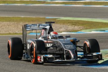 World © Octane Photographic Ltd. 2014 Formula 1 Winter Testing, Circuito de Velocidad, Jerez. Thursday 30th January 2014. Day 3. Sauber C33 Ferrari – Adrian Sutil. Digital Ref: 0887cb1d0951
