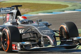 World © Octane Photographic Ltd. 2014 Formula 1 Winter Testing, Circuito de Velocidad, Jerez. Thursday 30th January 2014. Day 3. Sauber C33 Ferrari – Adrian Sutil. Digital Ref: 0887cb1d0952