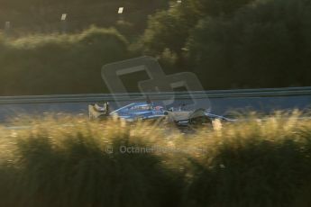 World © Octane Photographic Ltd. 2014 Formula 1 Winter Testing, Circuito de Velocidad, Jerez. Thursday 30th January 2014. Day 3. McLaren Mercedes MP4/29 - Jenson Button. Digital Ref: 0887lb1d1630