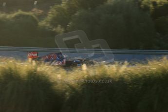 World © Octane Photographic Ltd. 2014 Formula 1 Winter Testing, Circuito de Velocidad, Jerez. Thursday 30th January 2014. Day 3. Scuderia Toro Rosso STR9 - Jean-Eric Vergne. Digital Ref: 0887lb1d1651