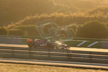 World © Octane Photographic Ltd. 2014 Formula 1 Winter Testing, Circuito de Velocidad, Jerez. Thursday 30th January 2014. Day 3. Scuderia Toro Rosso STR9 - Jean-Eric Vergne. Digital Ref: 0887lb1d1667