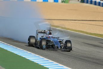 World © Octane Photographic Ltd. 2014 Formula 1 Winter Testing, Circuito de Velocidad, Jerez. Thursday 30th January 2014. Day 3. McLaren Mercedes MP4/29 - Jenson Button. Digital Ref: 0887lb1d2056