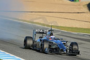 World © Octane Photographic Ltd. 2014 Formula 1 Winter Testing, Circuito de Velocidad, Jerez. Thursday 30th January 2014. Day 3. McLaren Mercedes MP4/29 - Jenson Button. Digital Ref: 0887lb1d2059