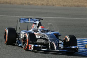 World © Octane Photographic Ltd. 2014 Formula 1 Winter Testing, Circuito de Velocidad, Jerez. Thursday 30th January 2014. Day 3. Sauber C33 – Adrian Sutil. Digital Ref: 0887lb1d2217