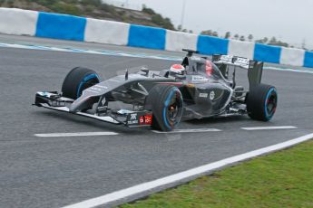 World © Octane Photographic Ltd. 2014 Formula 1 Winter Testing, Circuito de Velocidad, Jerez. Friday 31st January 2014. Day 4. Sauber C33 Ferrari – Adrian Sutil. Digital Ref: 0888cb1d1268