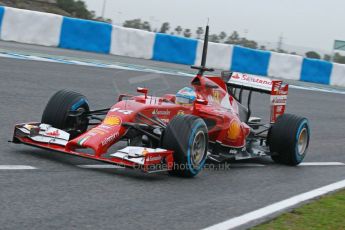 World © Octane Photographic Ltd. 2014 Formula 1 Winter Testing, Circuito de Velocidad, Jerez. Friday 31st January 2014. Day 4. Scuderia Ferrari F14T - Fernando Alonso. Digital Ref: 0888cb1d1280