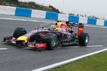 World © Octane Photographic Ltd. 2014 Formula 1 Winter Testing, Circuito de Velocidad, Jerez. Friday 31st January 2014. Day 4. Infiniti Red Bull Racing RB10 – Daniel Ricciardo. Digital Ref: 0888cb1d1296