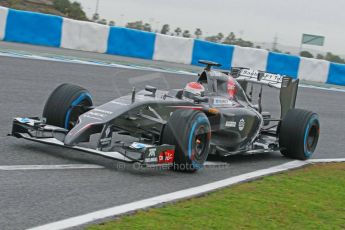 World © Octane Photographic Ltd. 2014 Formula 1 Winter Testing, Circuito de Velocidad, Jerez. Friday 31st January 2014. Day 4. Sauber C33 Ferrari – Adrian Sutil. Digital Ref: 0888cb1d1411