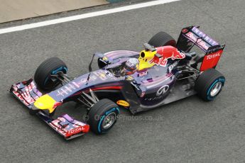 World © Octane Photographic Ltd. 2014 Formula 1 Winter Testing, Circuito de Velocidad, Jerez. Friday 31st January 2014. Day 4. Infiniti Red Bull Racing RB10 – Daniel Ricciardo. Digital Ref: 0888cb1d1496