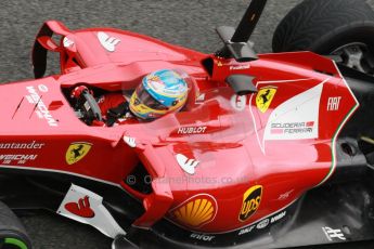 World © Octane Photographic Ltd. 2014 Formula 1 Winter Testing, Circuito de Velocidad, Jerez. Friday 31st January 2014. Day 4. Scuderia Ferrari F14T - Fernando Alonso. Digital Ref: 0888cb1d1510