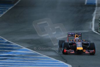 World © Octane Photographic Ltd. 2014 Formula 1 Winter Testing, Circuito de Velocidad, Jerez. Friday 31st January 2014. Day 4. Infiniti Red Bull Racing RB10 – Daniel Ricciardo. Digital Ref: 0888lb1d2764