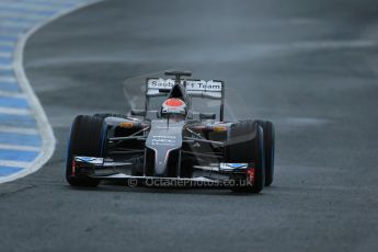 World © Octane Photographic Ltd. 2014 Formula 1 Winter Testing, Circuito de Velocidad, Jerez. Friday 31st January 2014. Day 4. Sauber C33 Ferrari – Adrian Sutil. Digital Ref: 0888lb1d2926