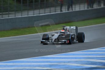 World © Octane Photographic Ltd. 2014 Formula 1 Winter Testing, Circuito de Velocidad, Jerez. Friday 31st January 2014. Day 4. Sauber C33 Ferrari – Adrian Sutil. Digital Ref: 0888lb1d2933