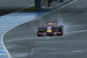 World © Octane Photographic Ltd. 2014 Formula 1 Winter Testing, Circuito de Velocidad, Jerez. Friday 31st January 2014. Day 4. Infiniti Red Bull Racing RB10 – Daniel Ricciardo. Digital Ref: 0888lb1d2949