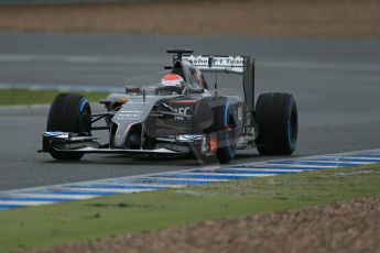 World © Octane Photographic Ltd. 2014 Formula 1 Winter Testing, Circuito de Velocidad, Jerez. Friday 31st January 2014. Day 4. Sauber C33 Ferrari – Adrian Sutil. Digital Ref: 0888lb1d3258