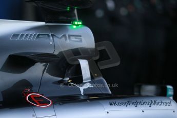 World © Octane Photographic Ltd. 2014 Formula 1 Winter Testing, Circuito de Velocidad, Jerez. Tuesday 27th January 2014. Mercedes AMG Petronas F1 W05 launch. Digital Ref: 0884cb1d9147