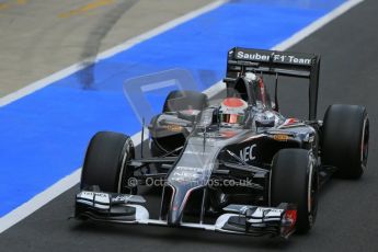 World © Octane Photographic Ltd. Tuesday 8th July 2014. British in-season Formula 1 test, Silverstone, UK. Sauber C33 – Adrian Sutil. Digital Ref: 1029LB1D2213