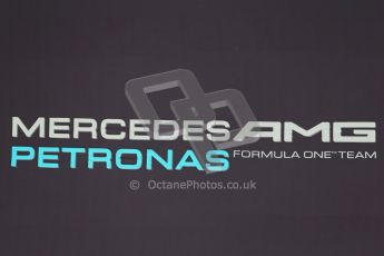 World © Octane Photographic Ltd. Tuesday 8th July 2014. British in-season Formula 1 test, Silverstone, UK. Mercedes AMG Petronas F1 W05 Hybrid - Team Logo. Digital Ref: 1029LB1D2290