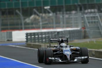 World © Octane Photographic Ltd. Wednesday 9th July 2014. British in-season Formula 1 test, Silverstone, UK. Sauber C33 – Giedo van der Garde. Digital Ref: 1030LB1D2904